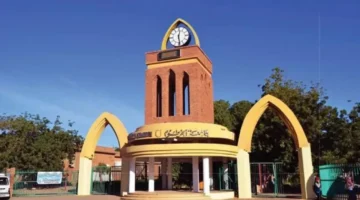 استعلم الان.. نتيجة القبول برقم الاستمارة للجامعات السودانية 2025 عبر بوابة admission.gov.sd